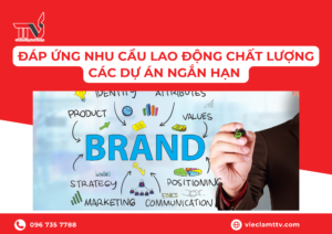 Đáp ứng nhu cầu lao động chất lượng cao cho các dự án ngắn hạn