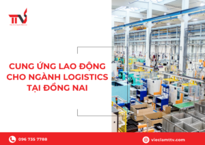 Cung ứng lao động ngành logistics