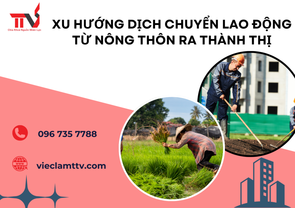 lao động