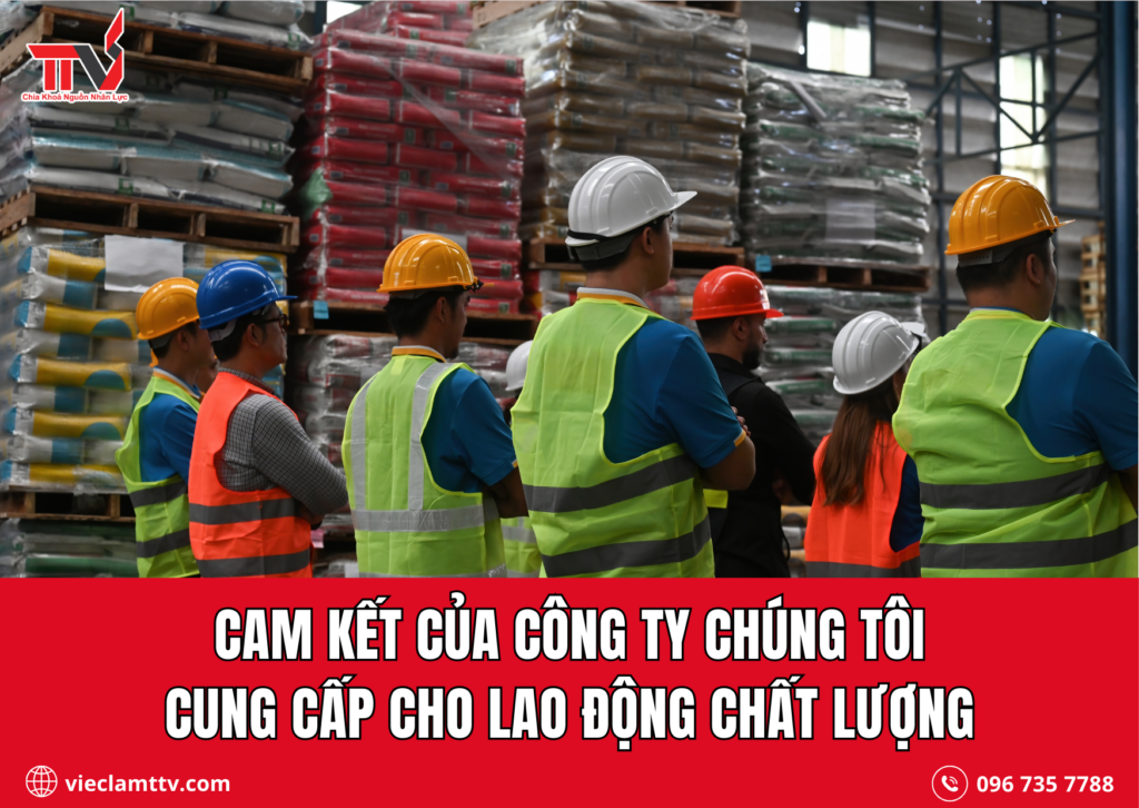 Cam kết của công ty chúng tôi cung cấp cho lao động chất lượng