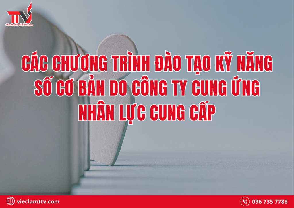 Các chương trình đào tạo kỹ năng số cơ bản do công ty cung ứng nhân lực cung cấp