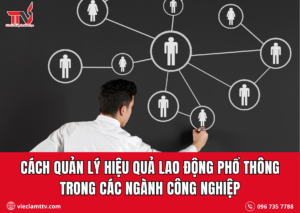 Cách quản lý hiệu quả lao động phổ thông trong các ngành công nghiệp