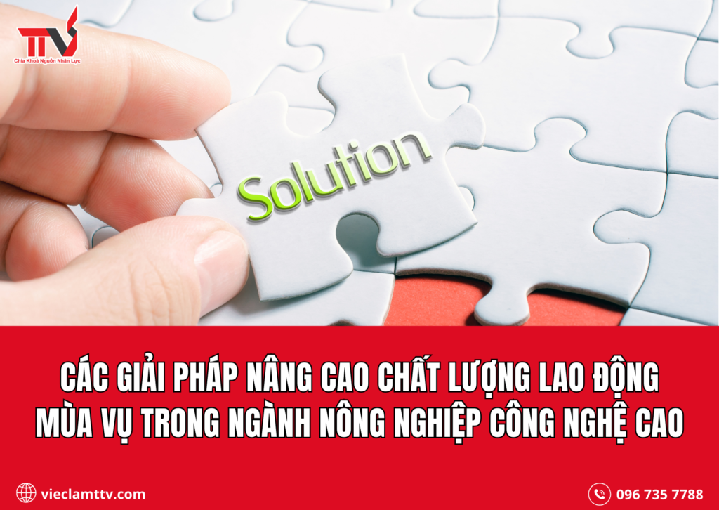 Các giải pháp nâng cao chất lượng lao động mùa vụ trong ngành nông nghiệp công nghệ cao