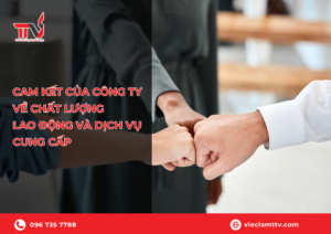 Cam kết của công ty về chất lượng lao động và dịch vụ cung cấp
