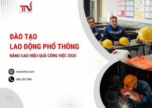 Đào tạo lao động phổ thông-nâng cao hiệu quả công việc 2025