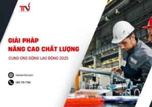 Giải pháp nâng cao chất lượng cung ứng động lao động 2025