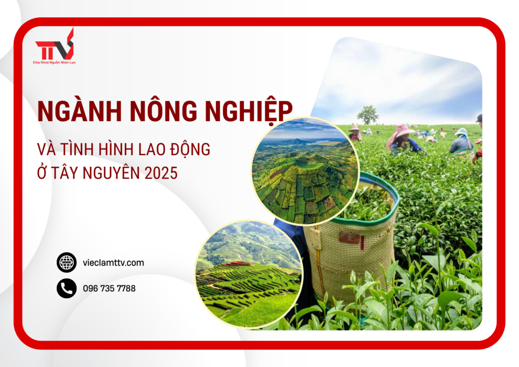 Ngành nông nghiệp và tình hình lao động ở Tây Nguyên 2025