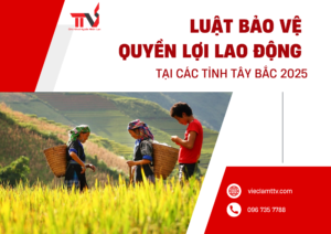 Luật bảo vệ quyền lợi lao động tại các tỉnh Tây Bắc 2025