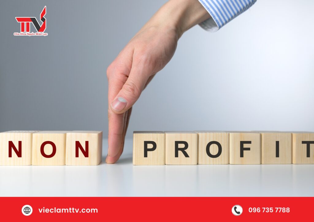 Các ví dụ thành công từ các tổ chức phi lợi nhuận