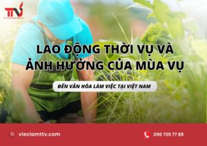 Lao động thời vụ và ảnh hưởng của mùa vụ đến văn hóa làm việc tại Việt Nam