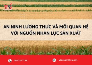 An ninh lương thực và mối quan hệ với nguồn nhân lực sản xuất