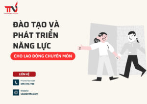Đào tạo và phát triển năng lực cho lao động chuyên môn