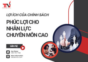 Lợi ích của chính sách Phúc lợi cho nhân lực chuyên môn cao