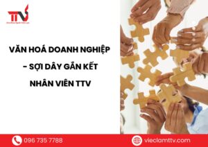 Văn hoá doanh nghiệp - sợi dây gắn kết nhân viên TTV
