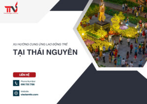 Xu hướng cung ứng lao động trẻ tại Thái Nguyên