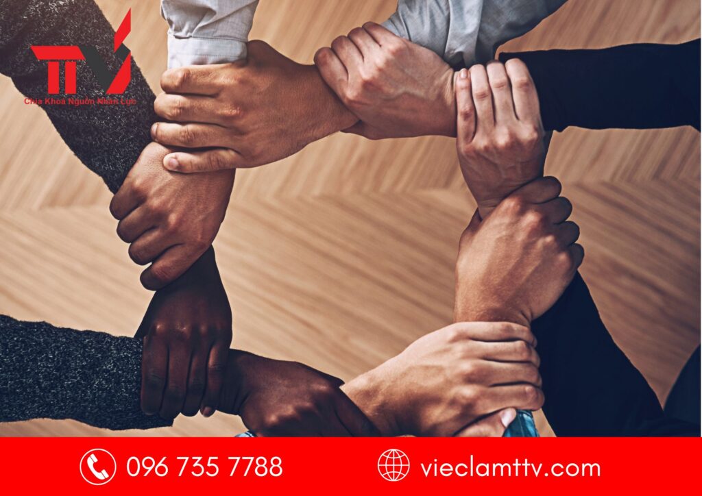 Xây dựng đội hỗ trợ nội bộ thúc đẩy nhân viên thích nghi công nghệ