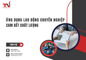 Công ty cung cấp ứng dụng lao động chuyên nghiệp và cam kết chất lượng