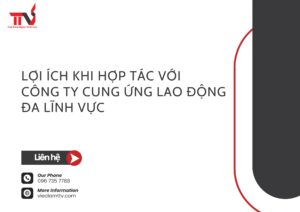 Lợi ích khi hợp tác với công ty cung ứng lao động đa lĩnh vực